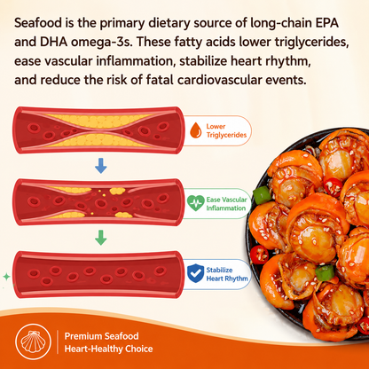 🦪High-protein, ready-to-eat scallop meat from Nantucket Bay Scallops-9YOE9