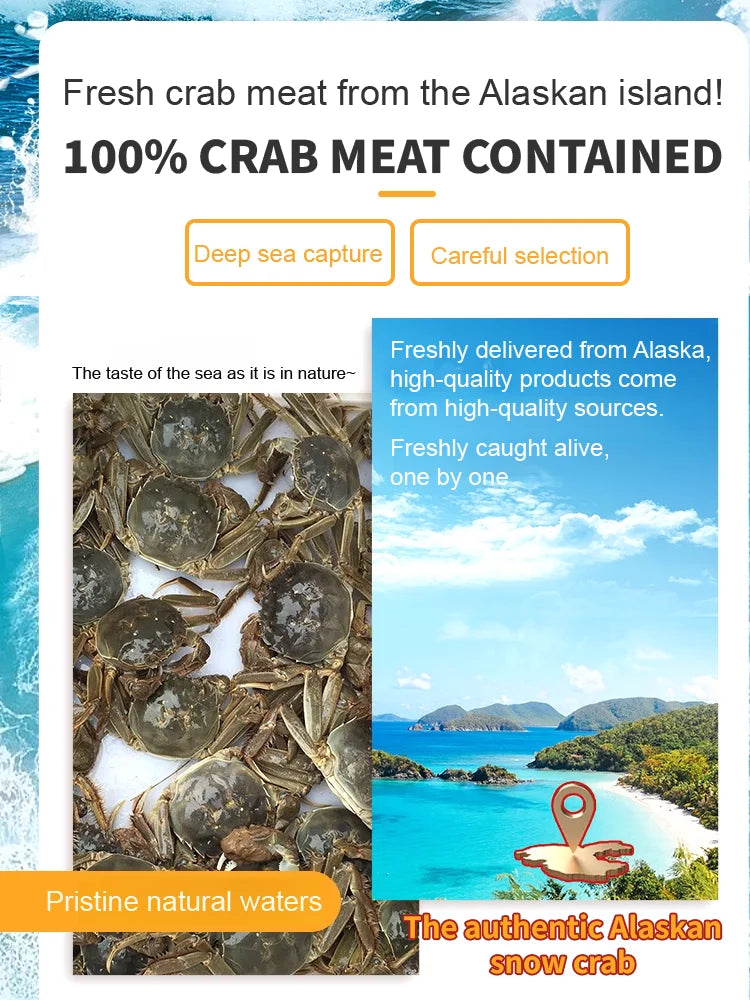 Alaskan Snow Crab Ready-to-Eat Crispy Crab-9YOE9